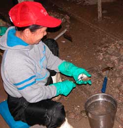 Oyster Shucker at Alby's Seafood